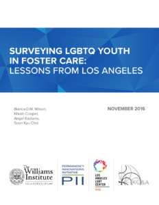 Method Report - The Williams Institute