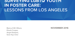 TWI_Methods-Report-2016_