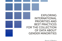 TWI-PrioritiesPracticesForDataGenderMin